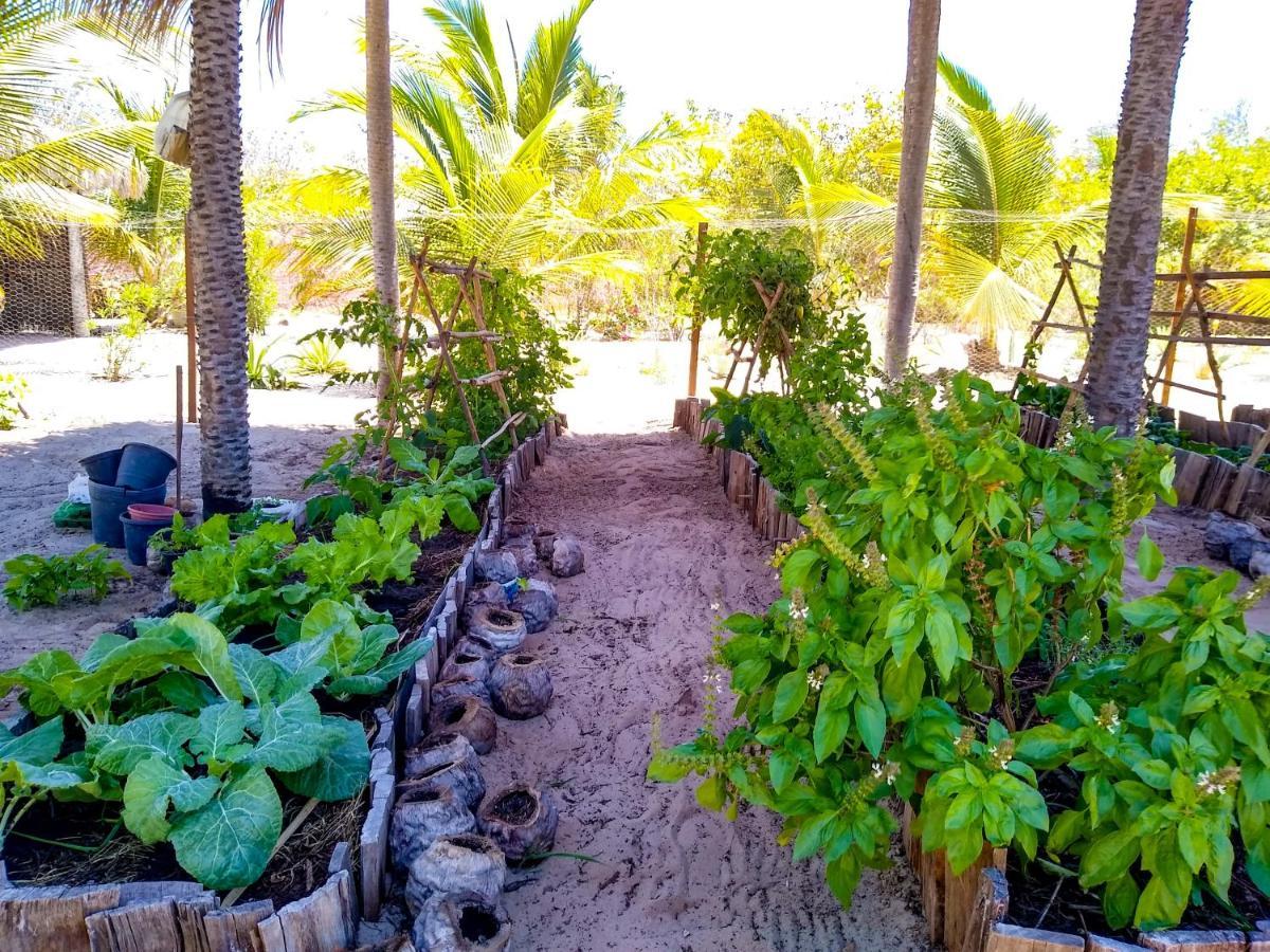 Castelo Vendom Ecolodge 帕拉茹鲁 外观 照片