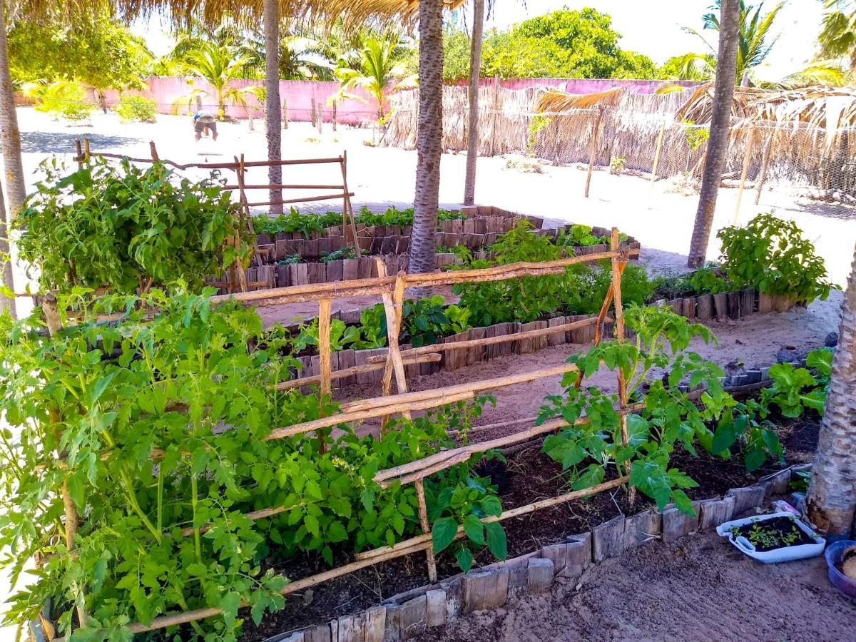 Castelo Vendom Ecolodge 帕拉茹鲁 外观 照片