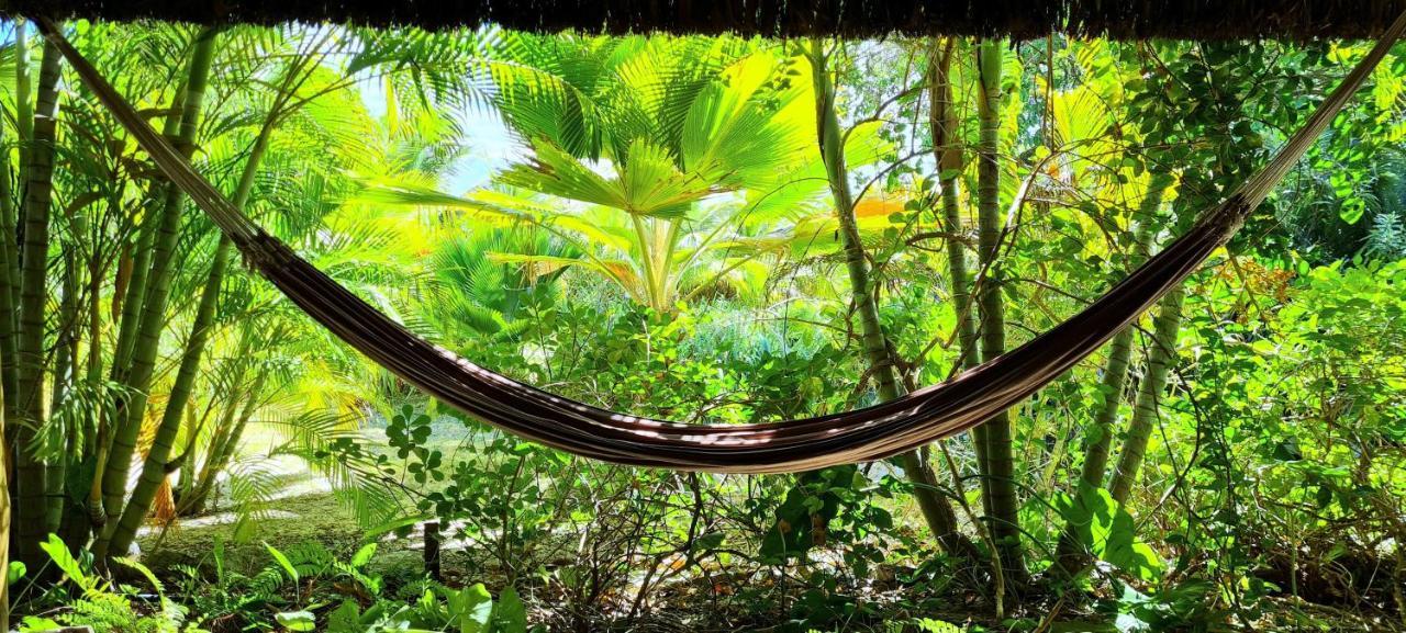 Castelo Vendom Ecolodge 帕拉茹鲁 外观 照片