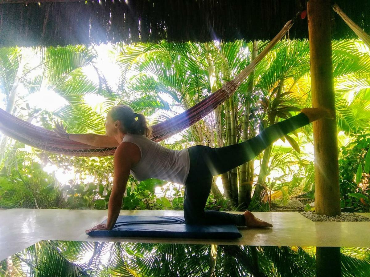 Castelo Vendom Ecolodge 帕拉茹鲁 外观 照片