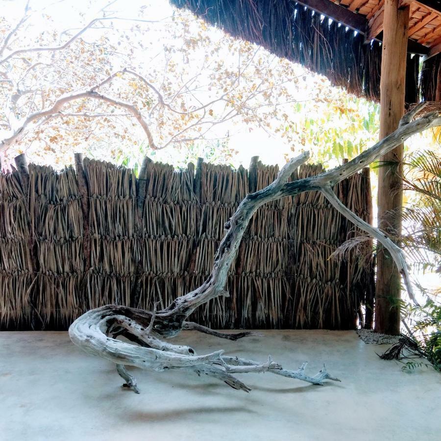 Castelo Vendom Ecolodge 帕拉茹鲁 外观 照片