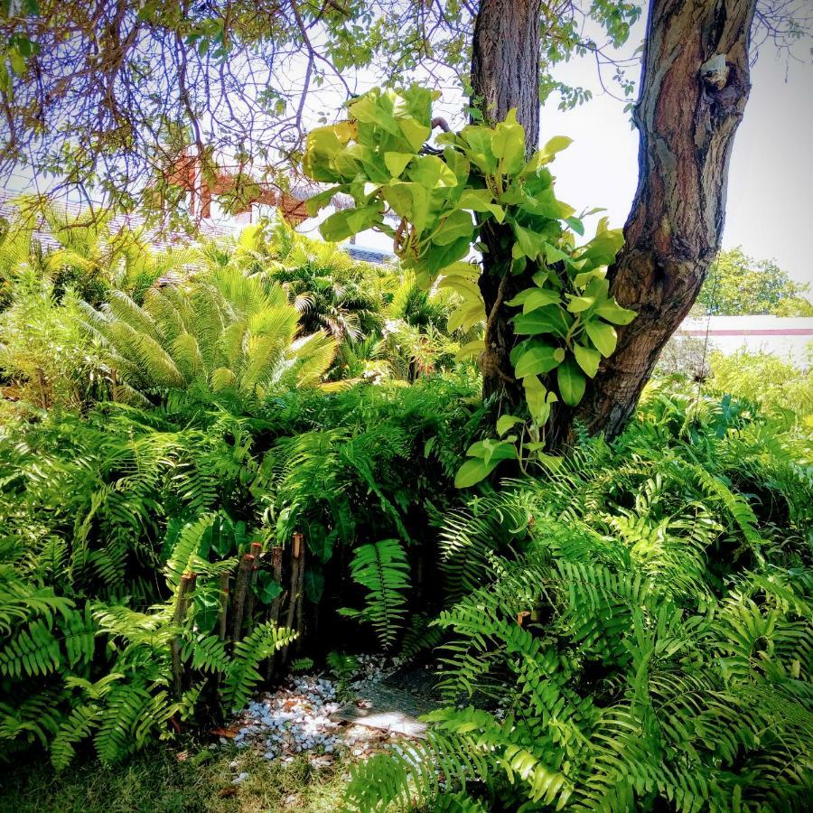 Castelo Vendom Ecolodge 帕拉茹鲁 外观 照片