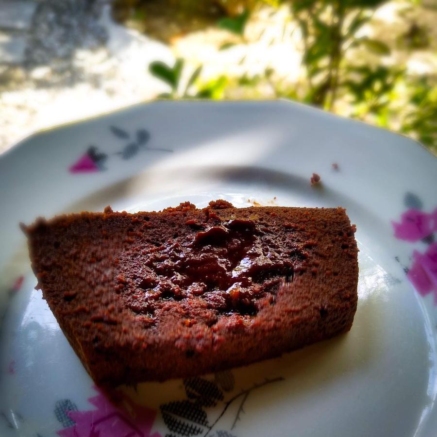 Castelo Vendom Ecolodge 帕拉茹鲁 外观 照片