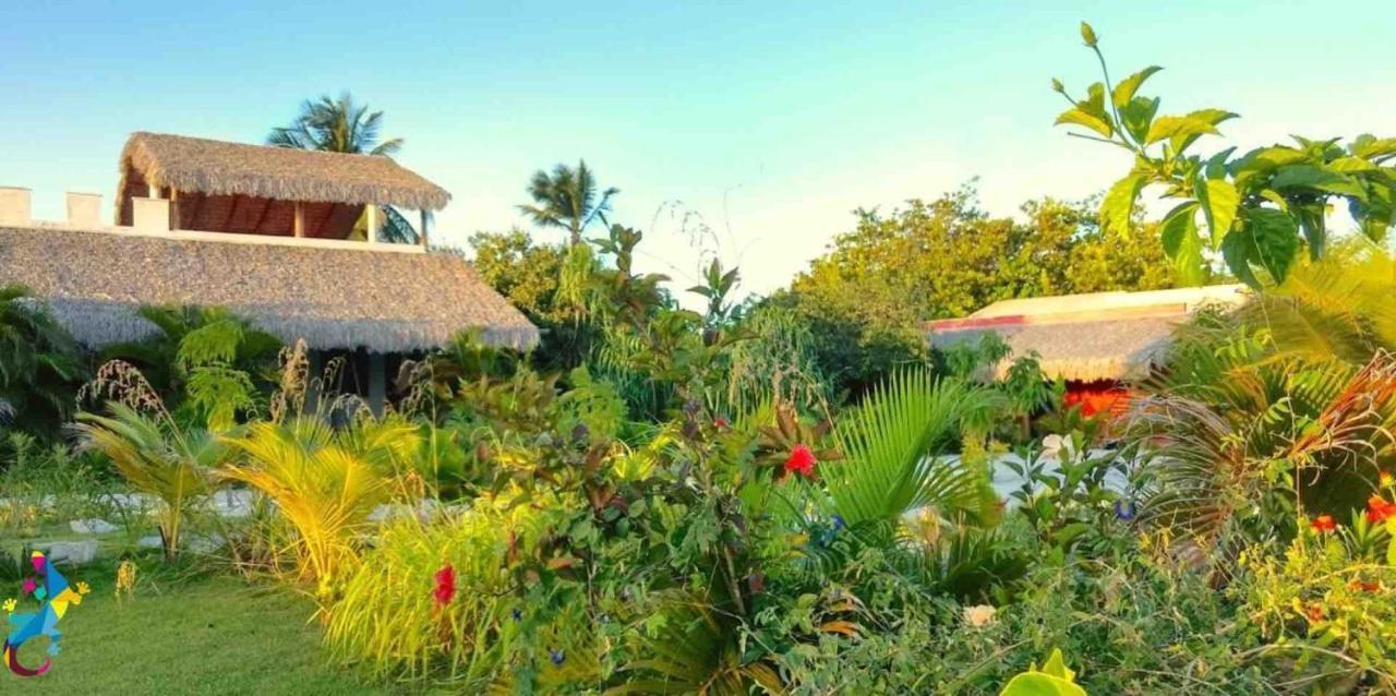 Castelo Vendom Ecolodge 帕拉茹鲁 外观 照片