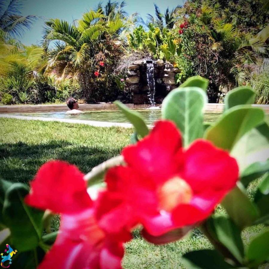 Castelo Vendom Ecolodge 帕拉茹鲁 外观 照片