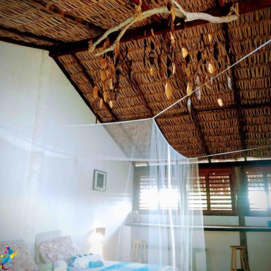 Castelo Vendom Ecolodge 帕拉茹鲁 外观 照片